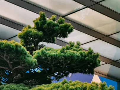 ΆρκέινΜπετ Καζίνο Κινητη εφαρμογη